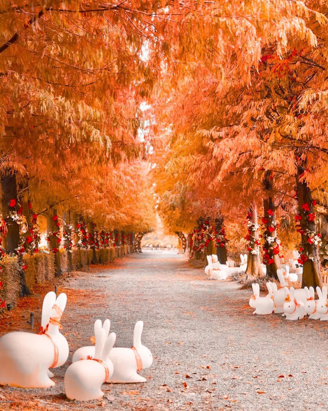 成美文化園 | 去趣 chicTrip