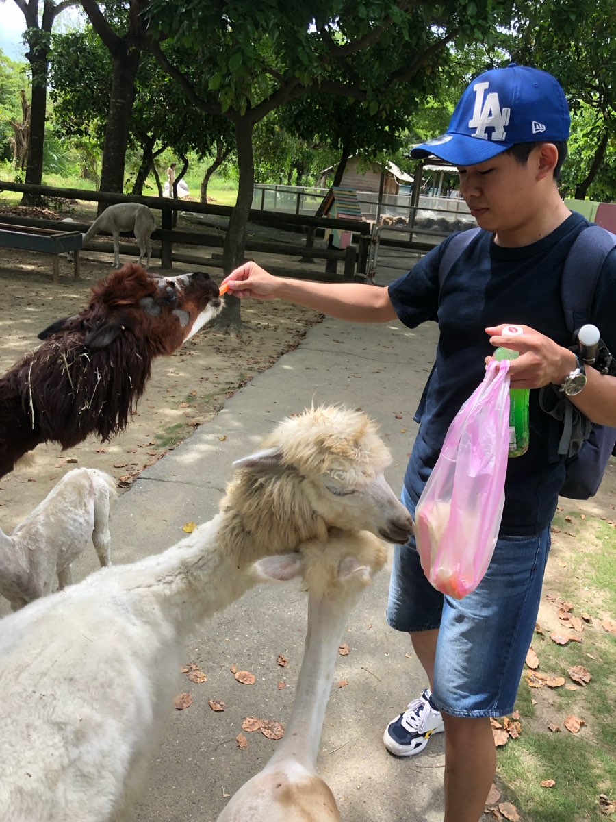 頑皮世界野生動物園 | 去趣 chicTrip