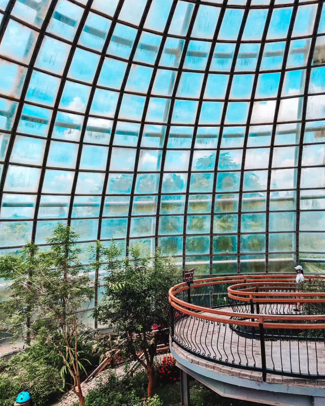 嘉大昆蟲館 | 去趣 chicTrip