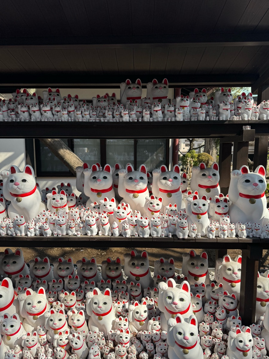 世田谷 豪德寺 | 去趣 chicTrip