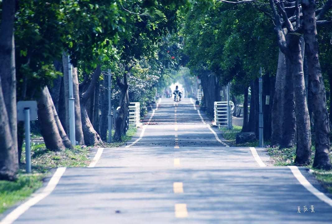 潭雅神綠園道 | 去趣 chicTrip