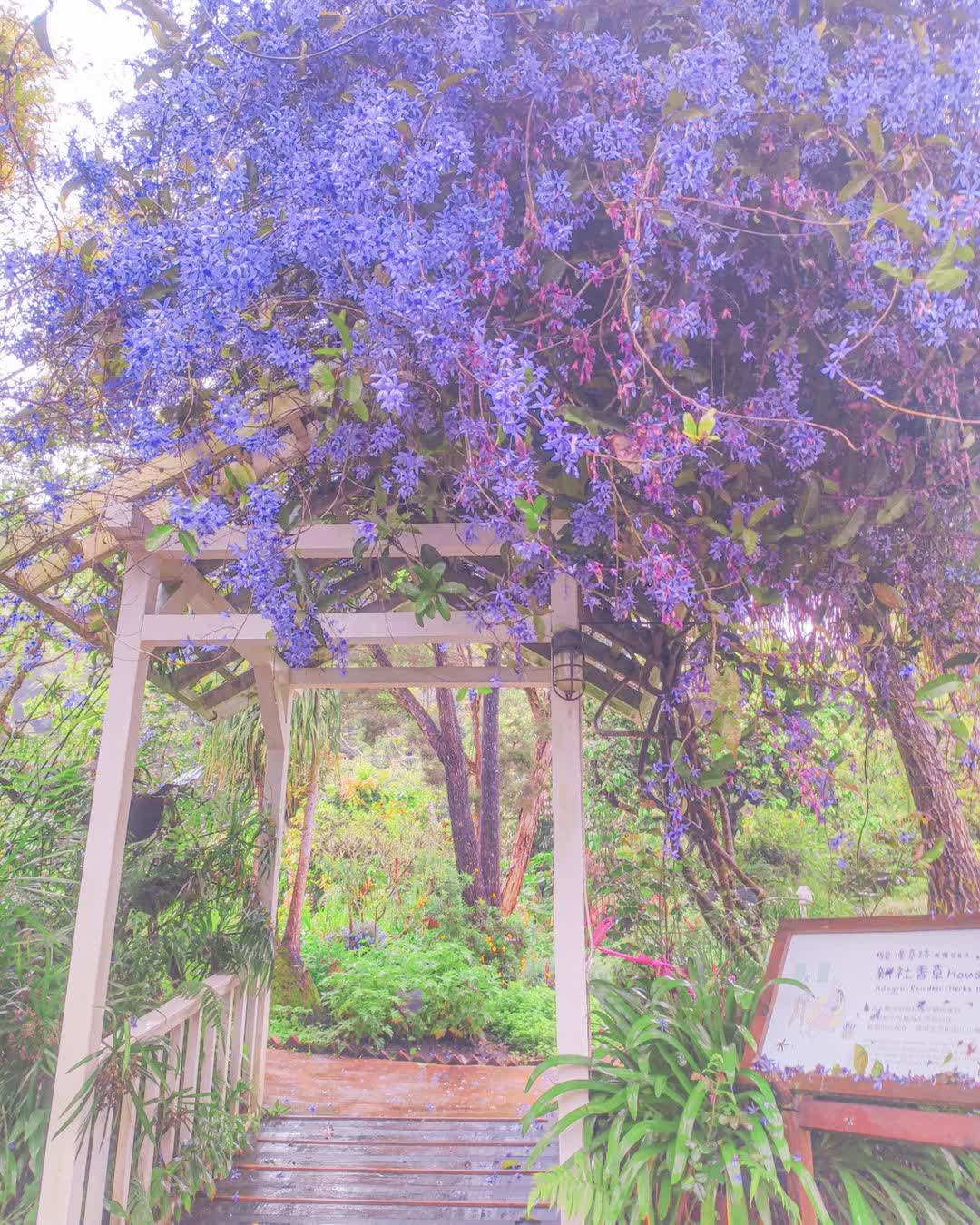 薰衣草森林台中新社店 | 去趣 chicTrip