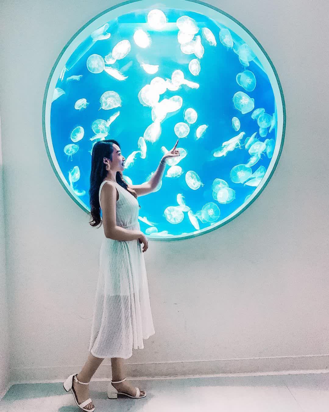 Xpark 水族館 | 去趣 chicTrip