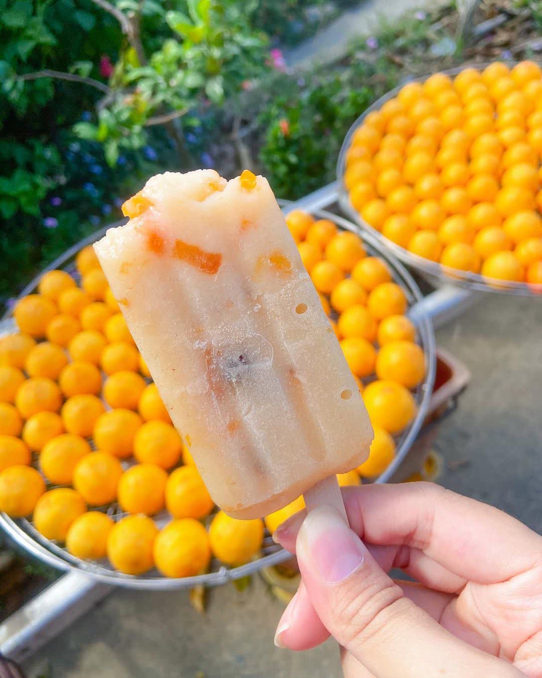 味衛佳柿餅教育農園 | 去趣 chicTrip