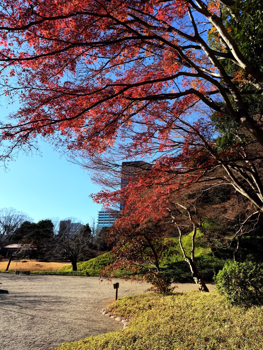 小石川後樂園 | 去趣 chicTrip