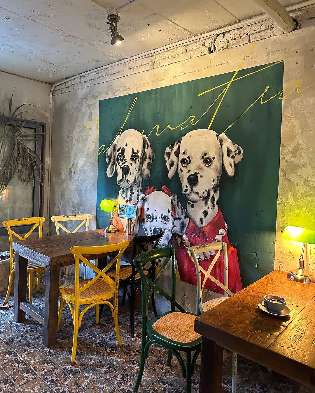 DALMATIAN | 去趣 chicTrip