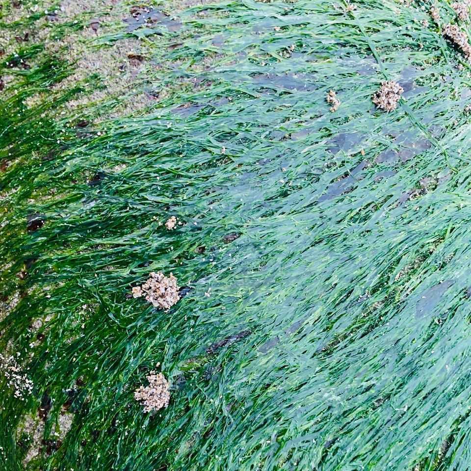 老梅綠石槽 | 去趣 chicTrip