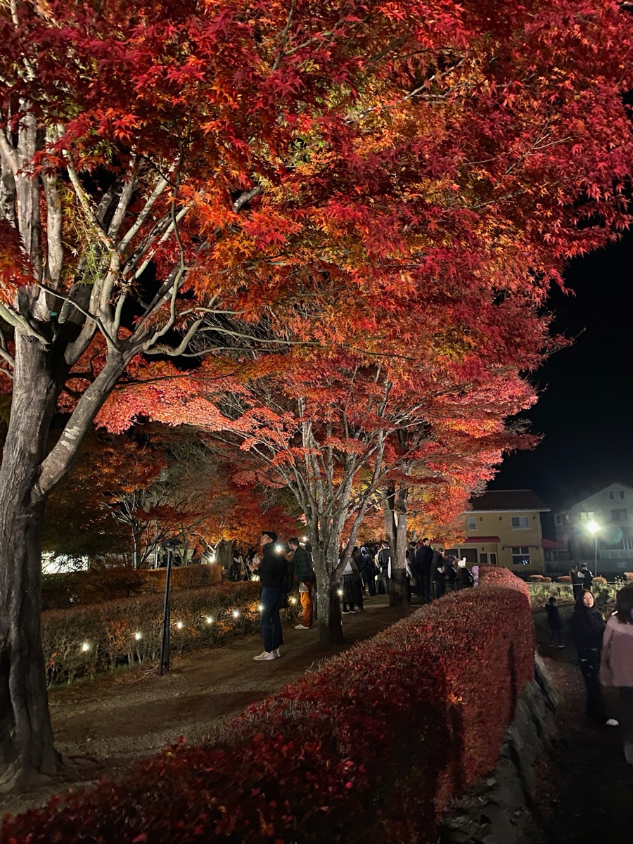 河口湖楓葉迴廊 | 去趣 chicTrip