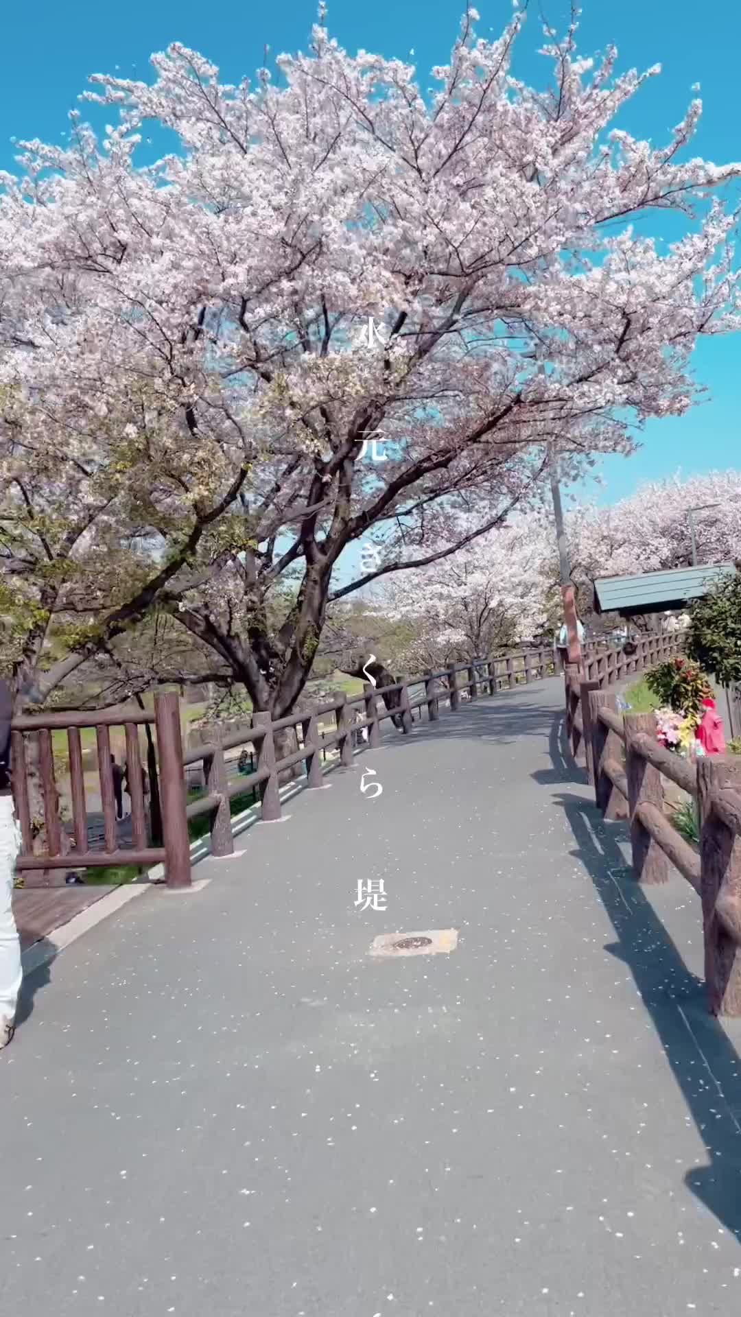 水元公園 | 去趣 chicTrip