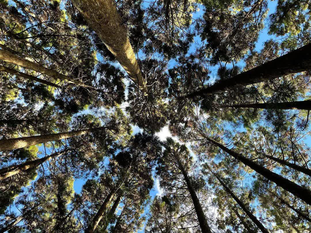 野馬瞰山 | 去趣 chicTrip