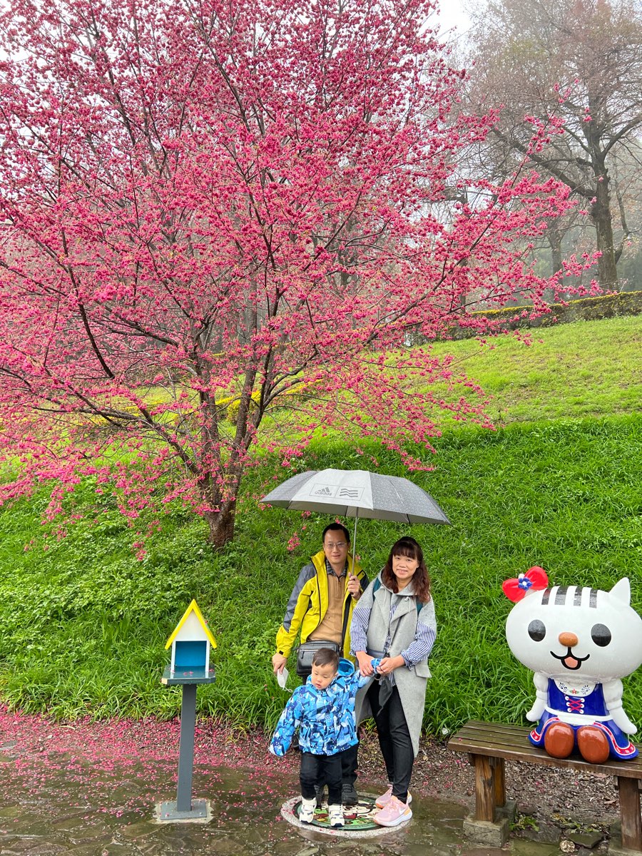 清境農場小瑞士花園 | 去趣 chicTrip