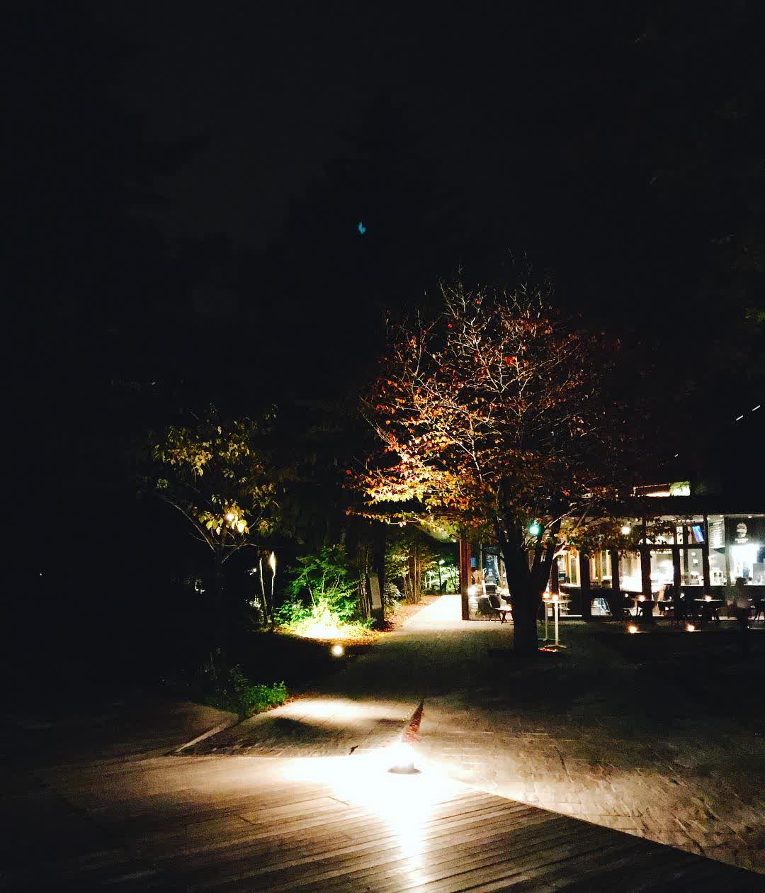 星野溫泉 蜻蜓之湯 | 去趣 chicTrip