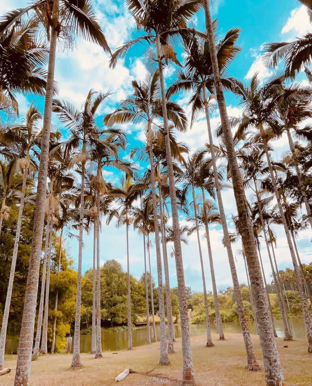 花蓮雲山水夢幻湖 | 去趣 chicTrip