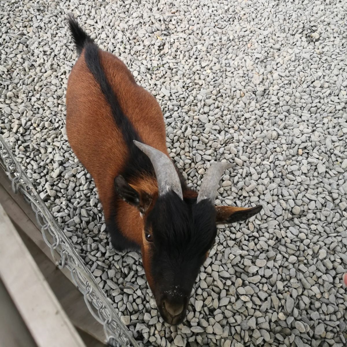 潮州鐵道園區 | 去趣 chicTrip