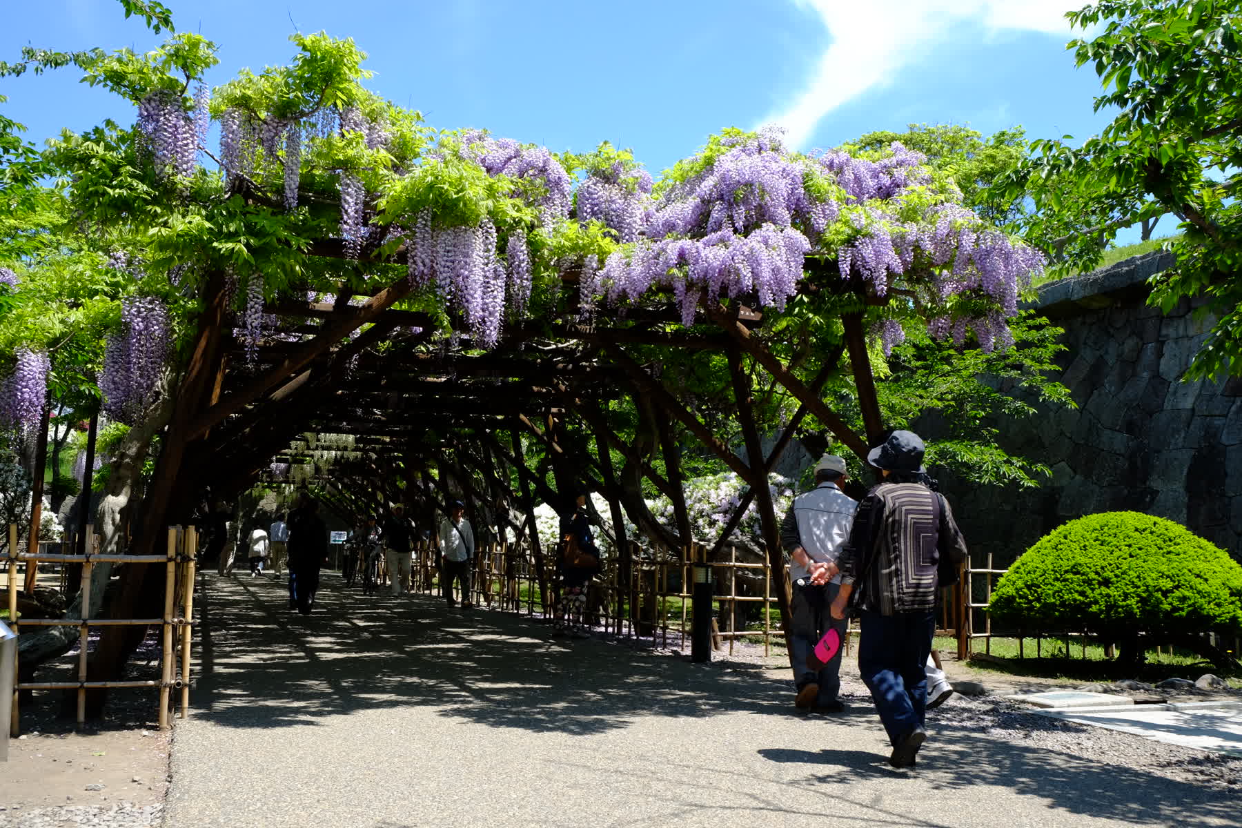 五稜郭公園 | 去趣 chicTrip