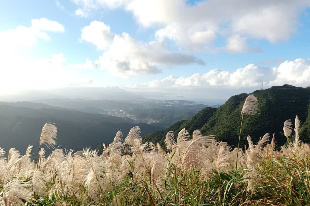 不厭亭 | 去趣 chicTrip