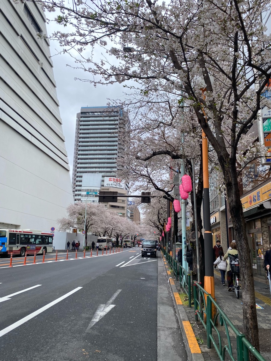 中野（東京） | 去趣 chicTrip