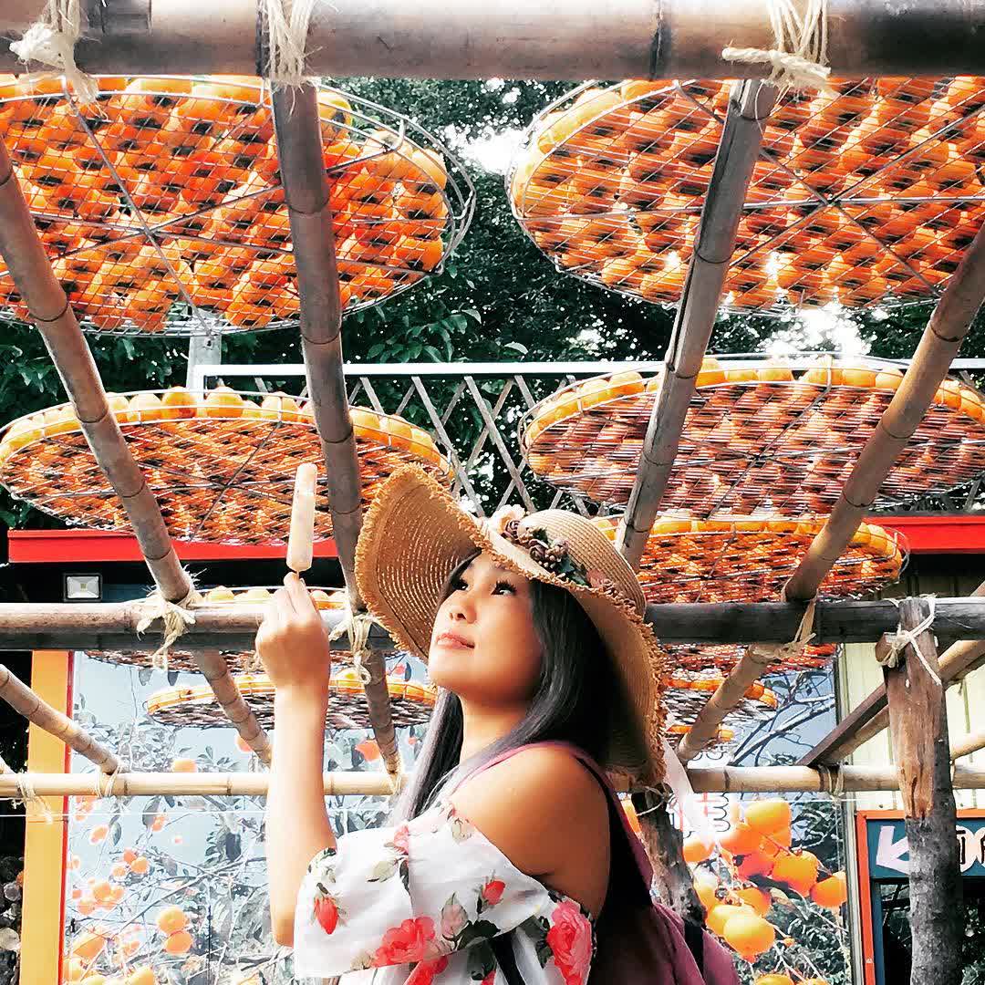 味衛佳柿餅教育農園 | 去趣 chicTrip