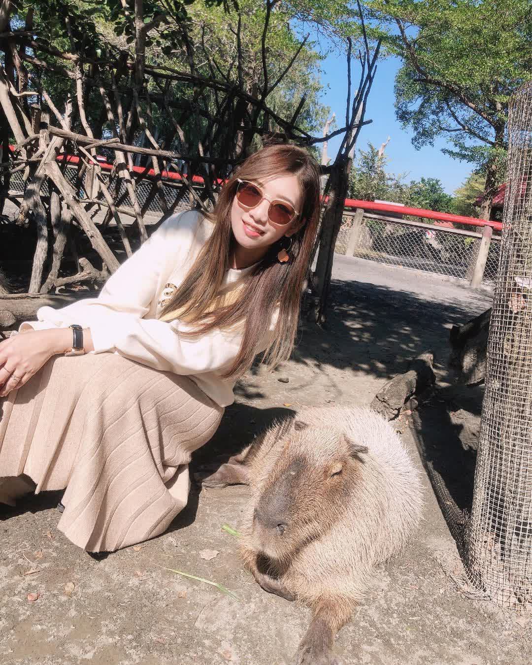 頑皮世界野生動物園 | 去趣 chicTrip