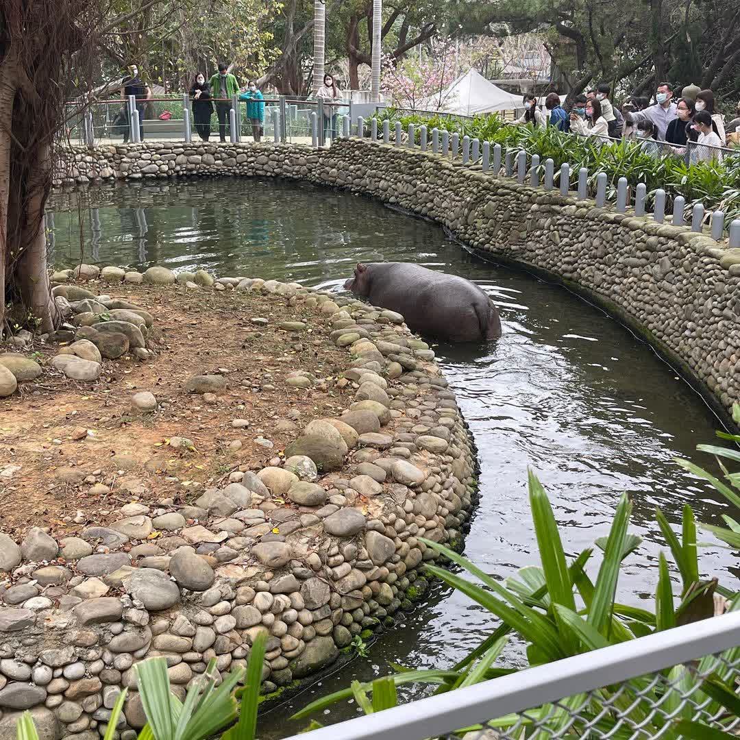 新竹市立動物園 | 去趣 chicTrip