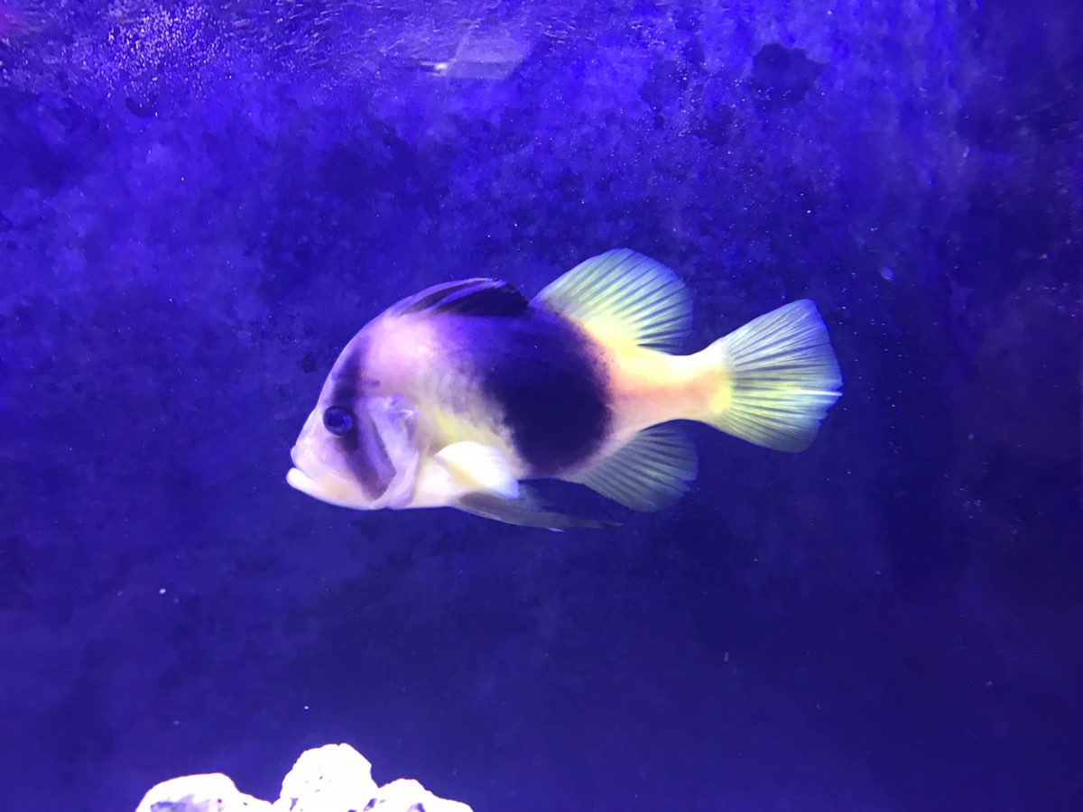 金車生技水產養殖研發中心 | 去趣 chicTrip