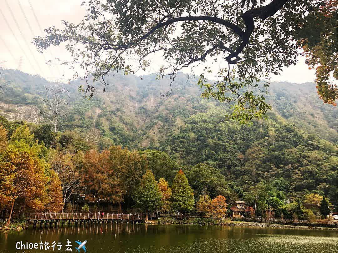 車埕木業展示館 Checheng Logging Exhibition Hall | 去趣 chicTrip