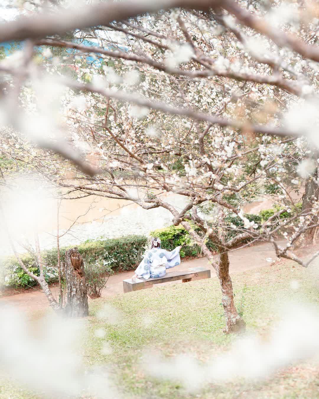 角板山行館 | 去趣 chicTrip