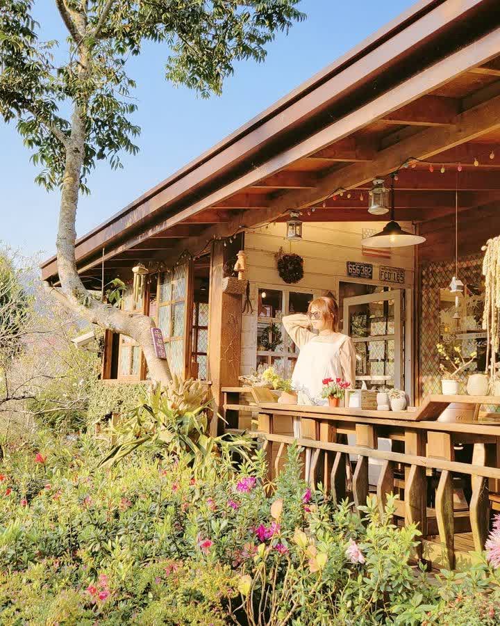 南庄橄欖樹 | 咖啡廳 ‧ 民宿 | Olive Tree Guesthouse & Café | 去趣 chicTrip