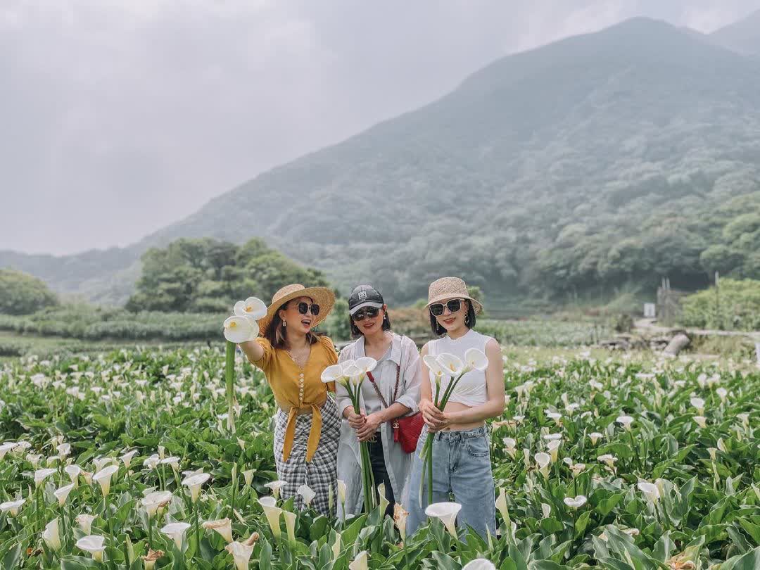 竹子湖 | 去趣 chicTrip