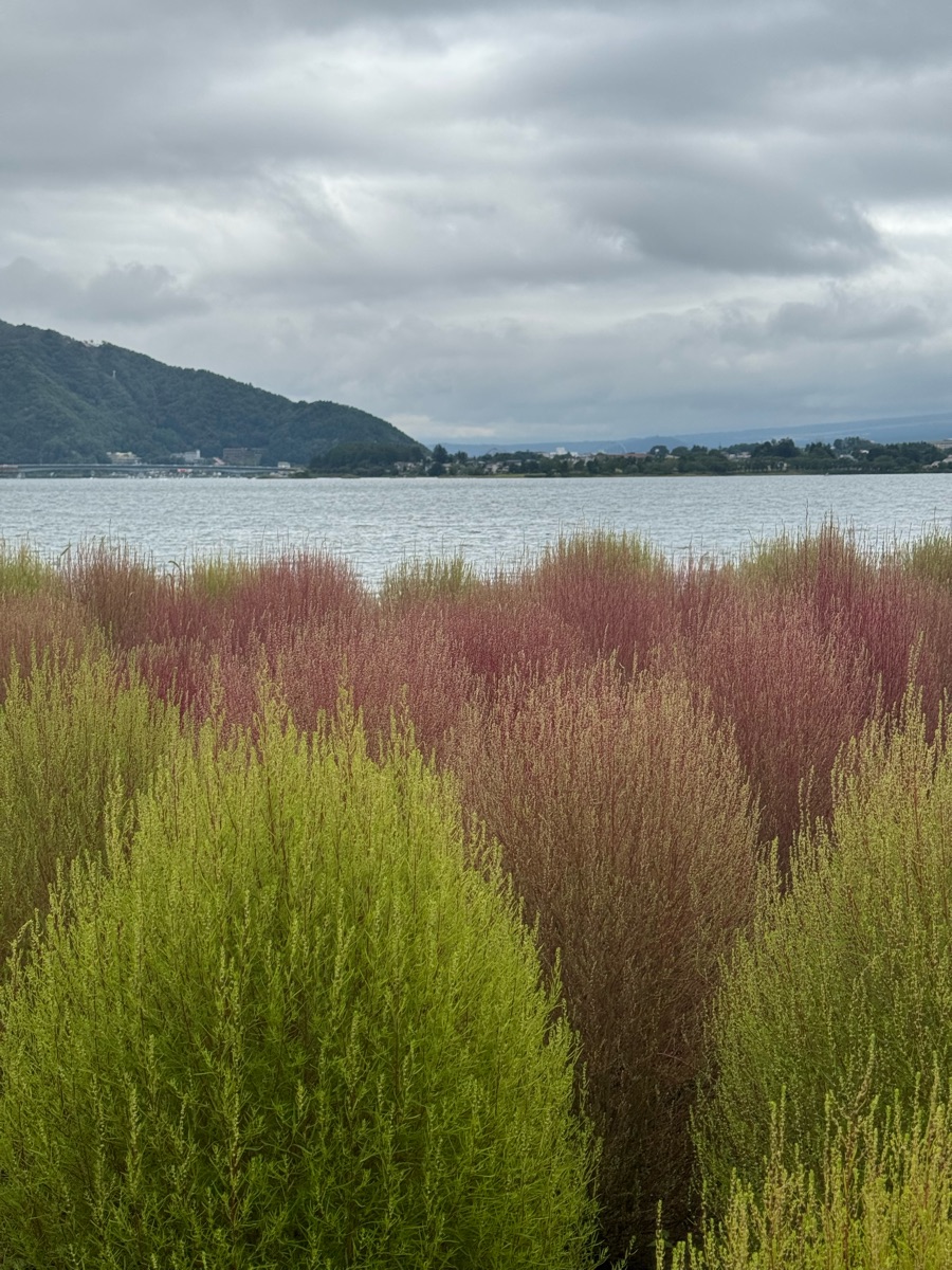 大石公園 | 去趣 chicTrip