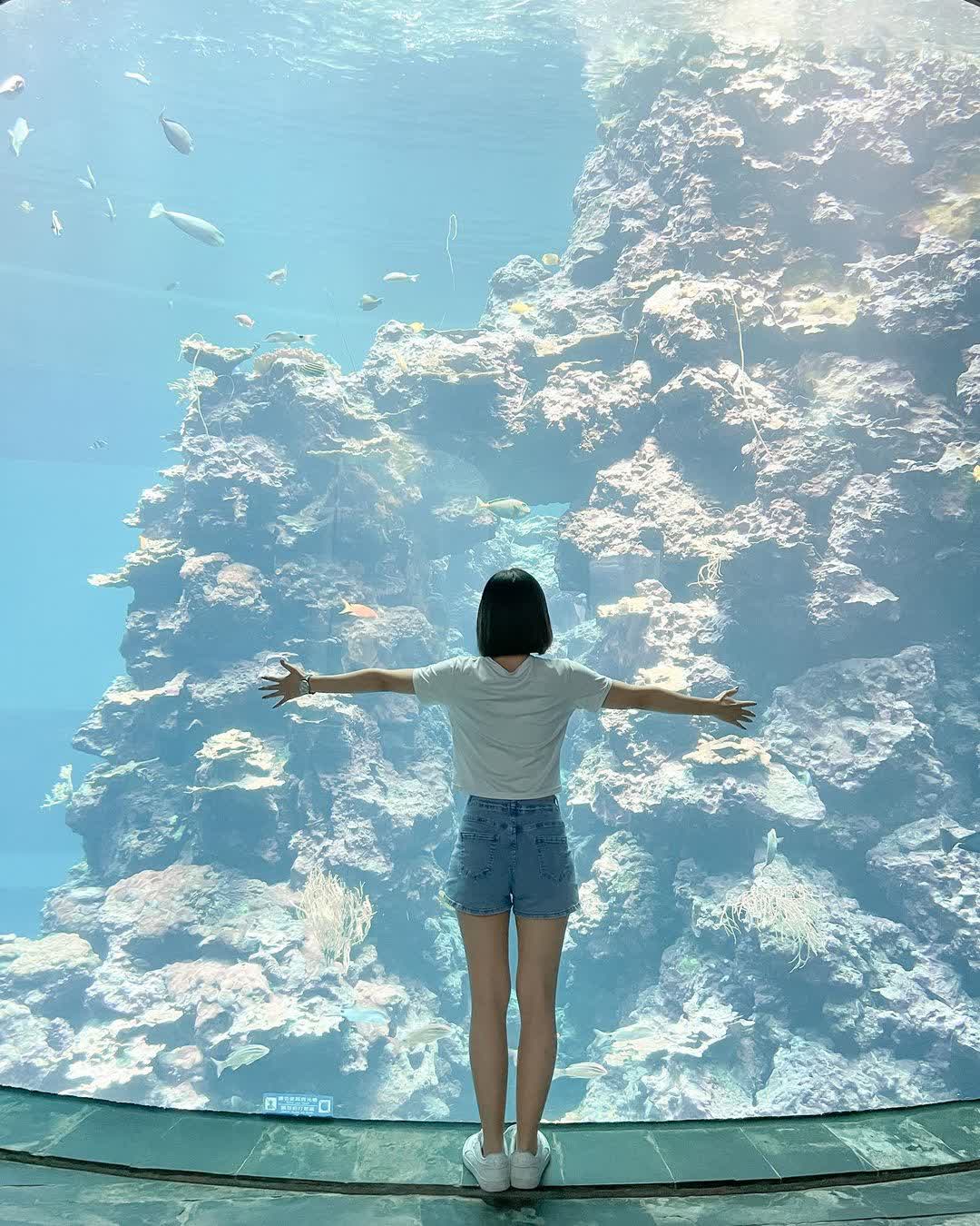 國立海洋生物博物館 | 去趣 chicTrip