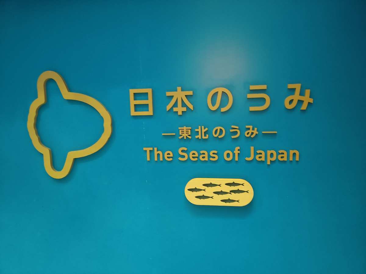 仙台海洋森林水族館 | 去趣 chicTrip