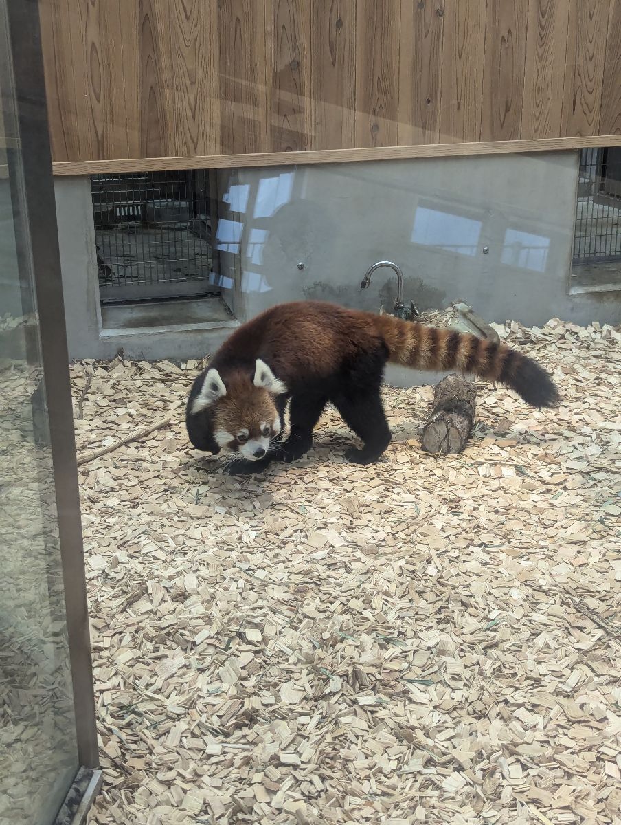 東山動植物園 | 去趣 chicTrip