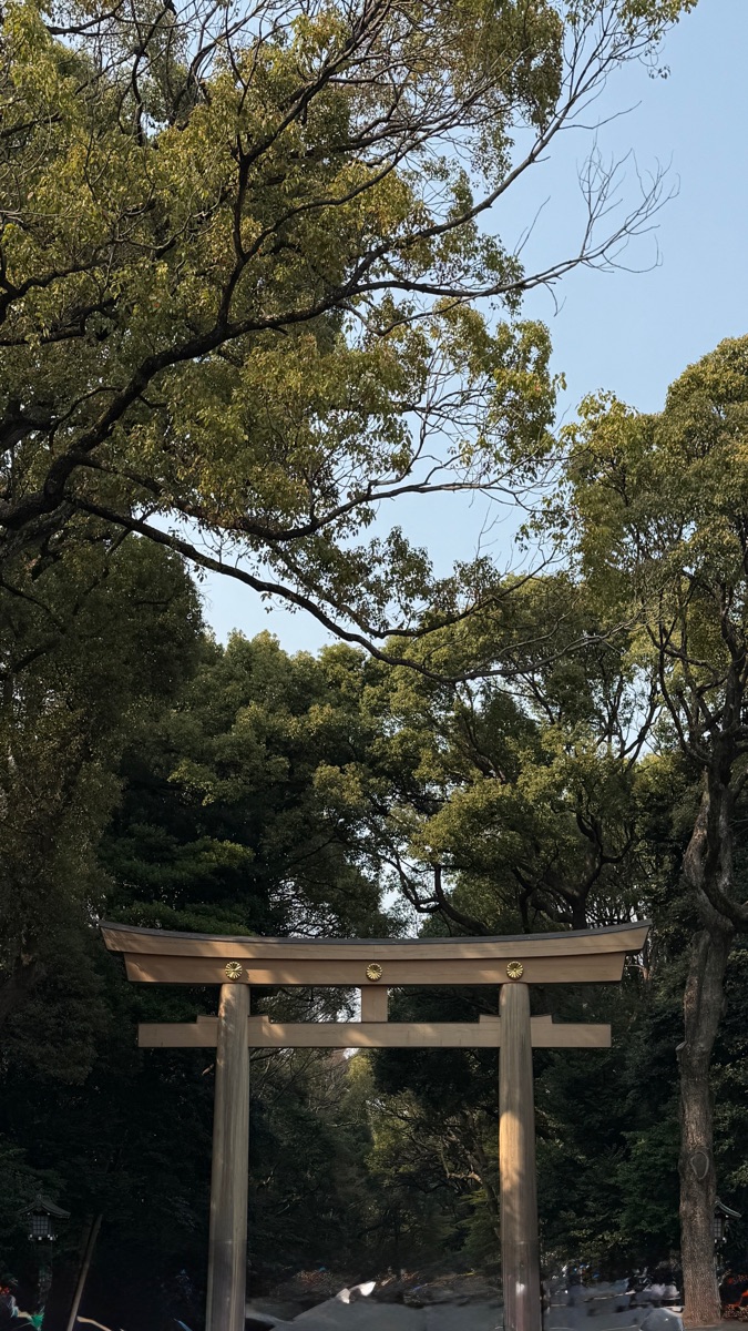 明治神宮 | 去趣 chicTrip