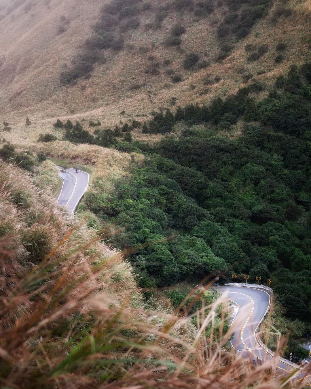 陽明山國家公園 | 去趣 chicTrip