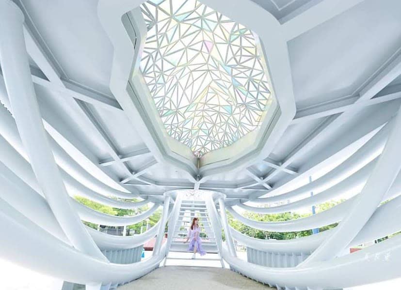 大魚的祝福 | 去趣 chicTrip