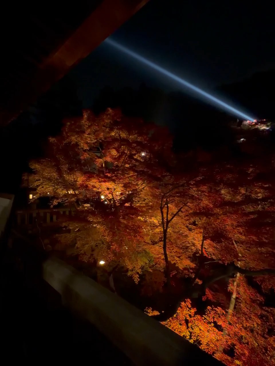 清水寺 | 去趣 chicTrip