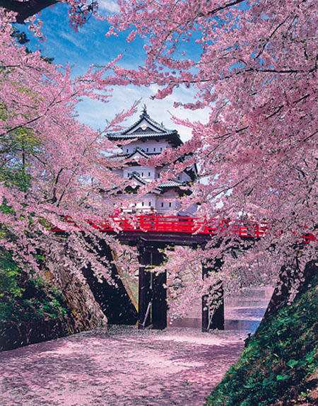 弘前城 | 去趣 chicTrip