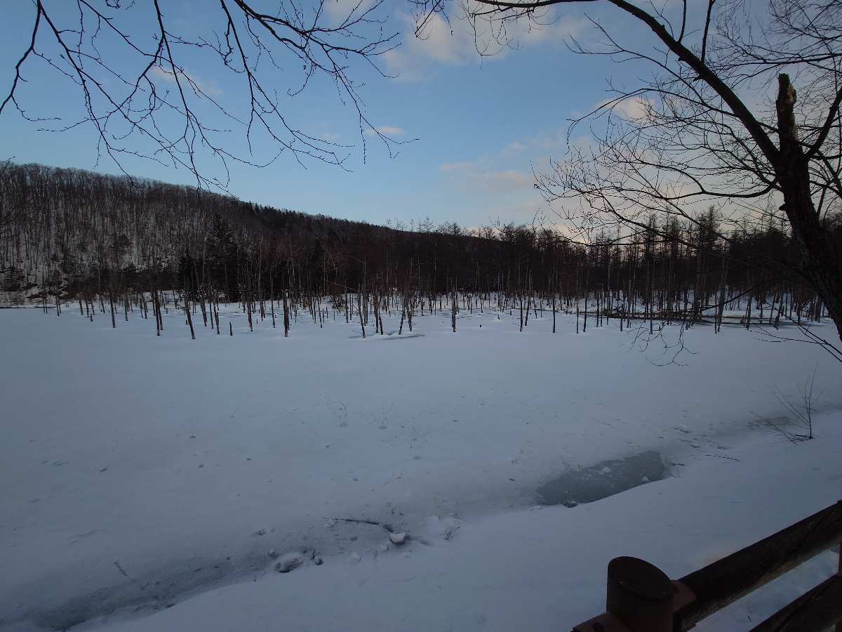 白金青池 | 去趣 chicTrip