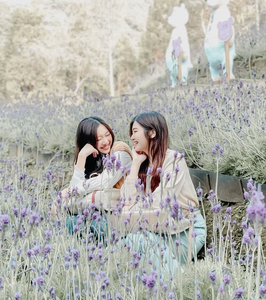 薰衣草森林台中新社店 | 去趣 chicTrip