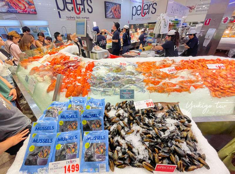 Sydney Fish Market | 去趣 chicTrip