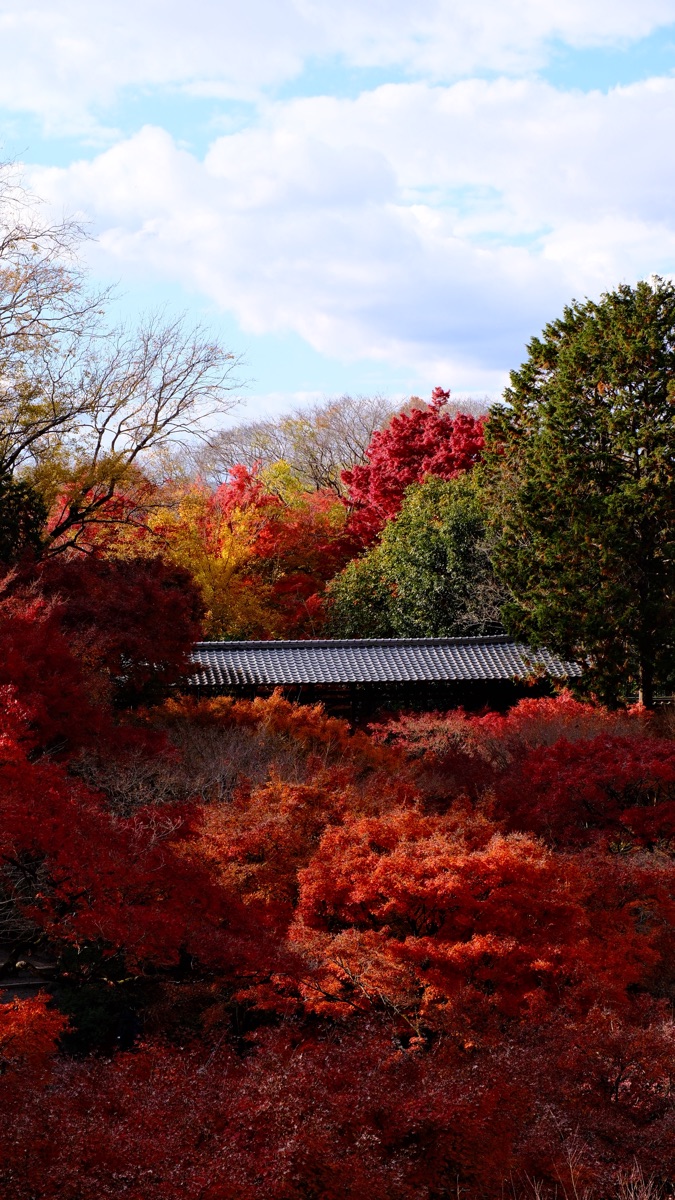 東福寺 | 去趣 chicTrip