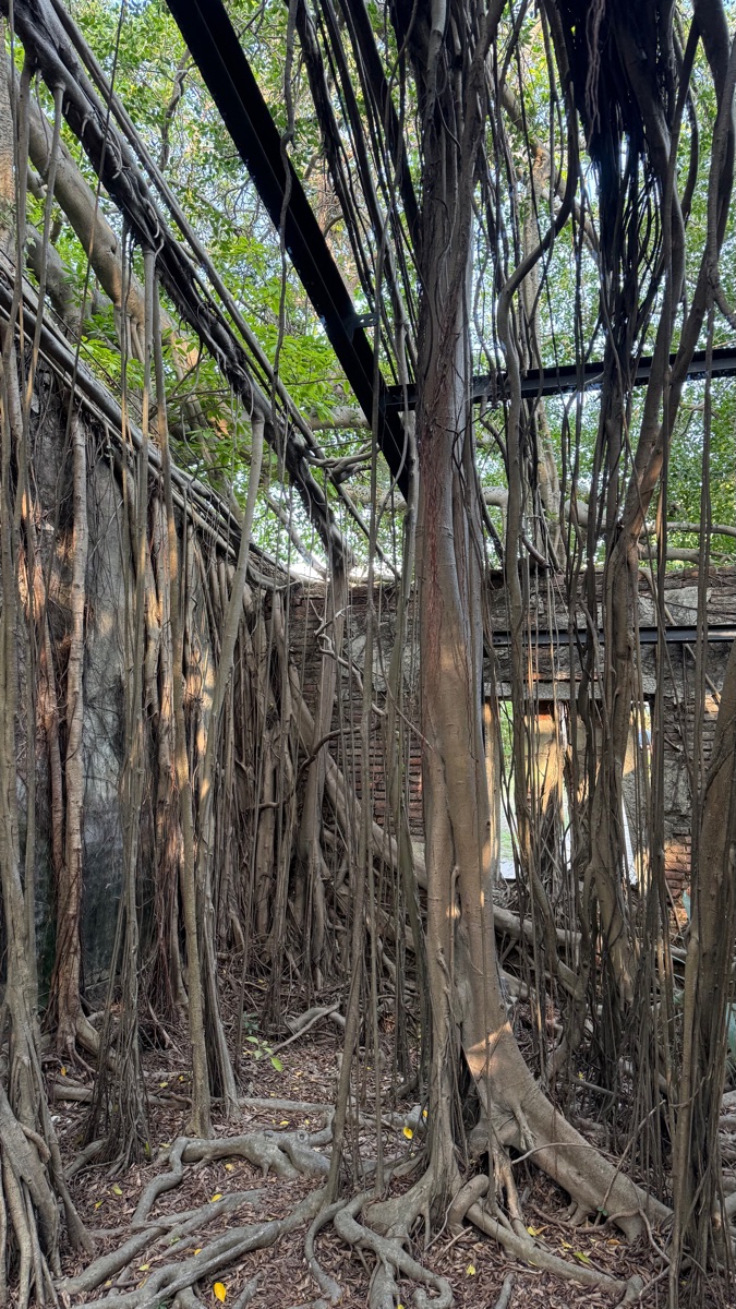 安平樹屋 | 去趣 chicTrip