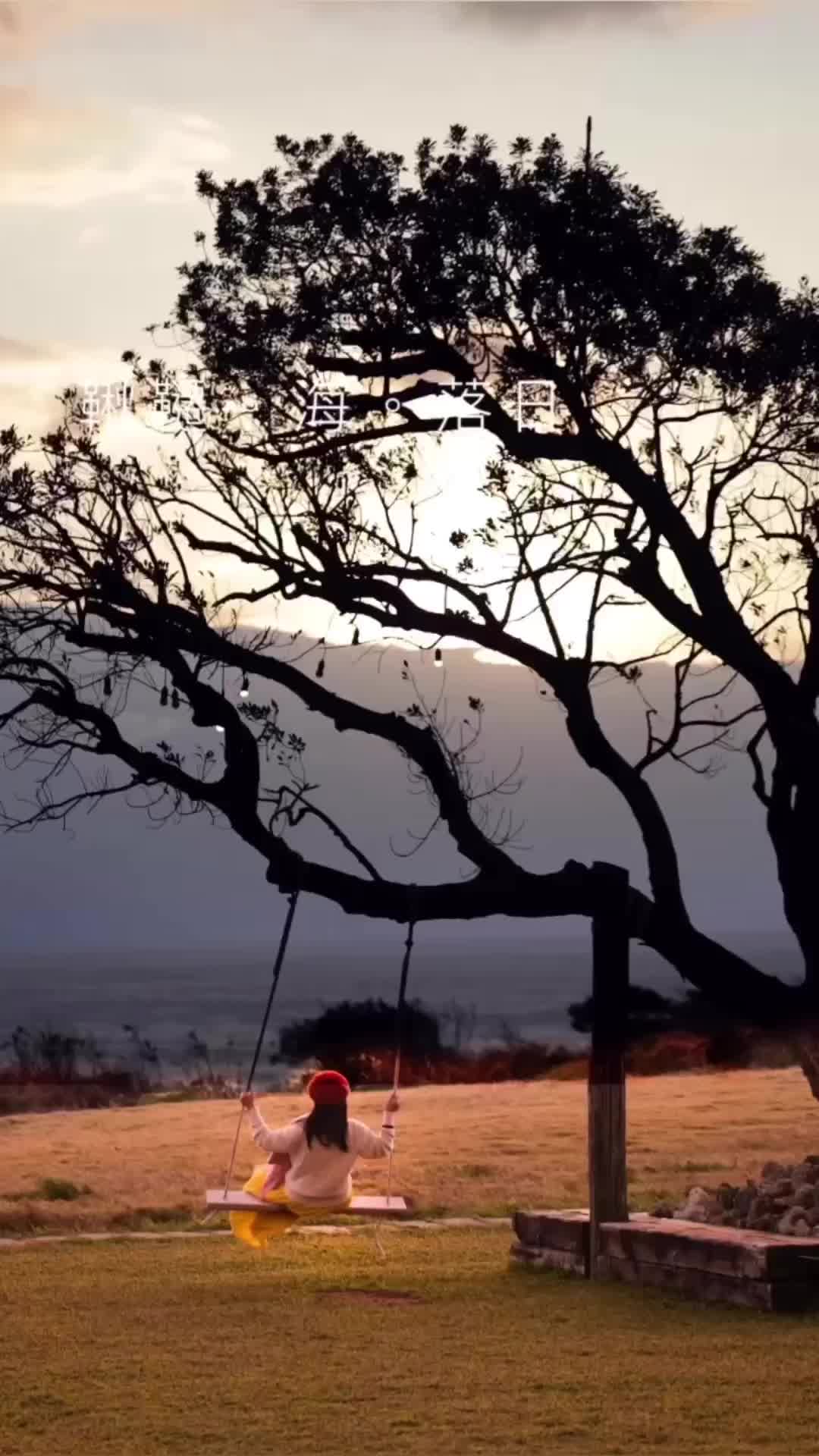 日光·嶼南 SUNLIGHT ON THE PENINSULA