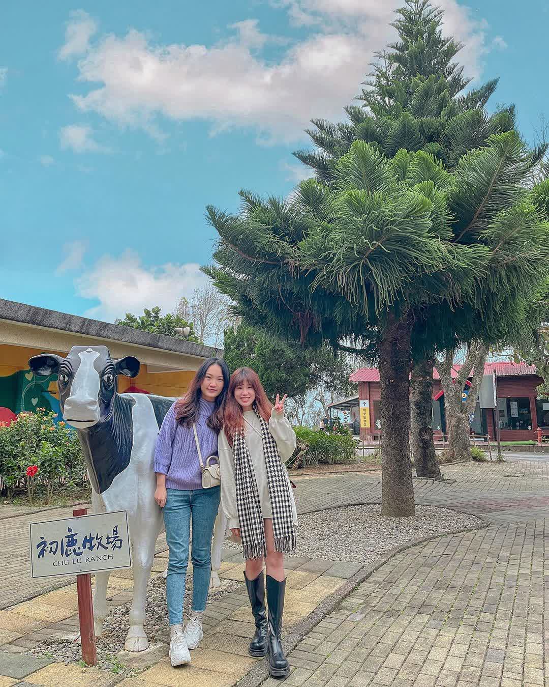 初鹿牧場 | 去趣 chicTrip