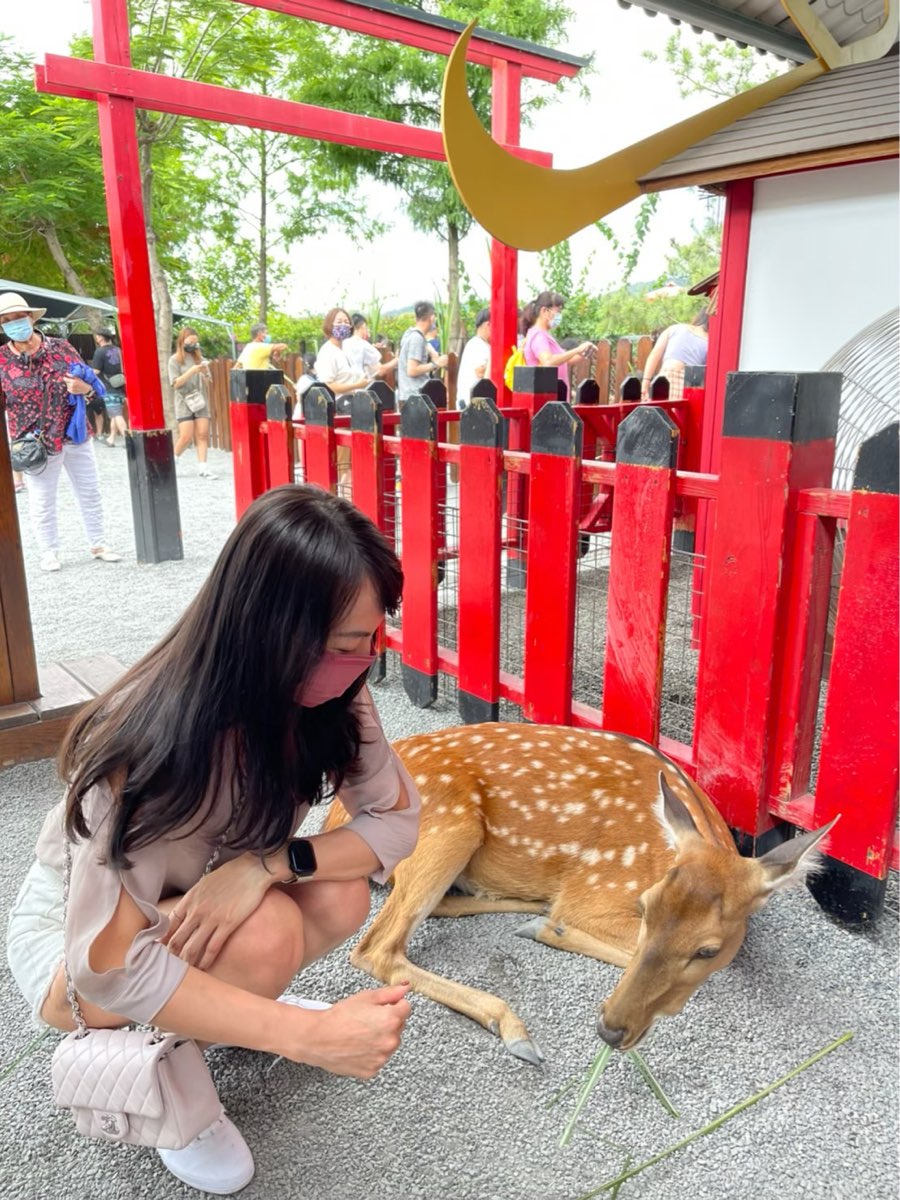 張美阿嬤農場（月森甯手作工坊） | 去趣 chicTrip