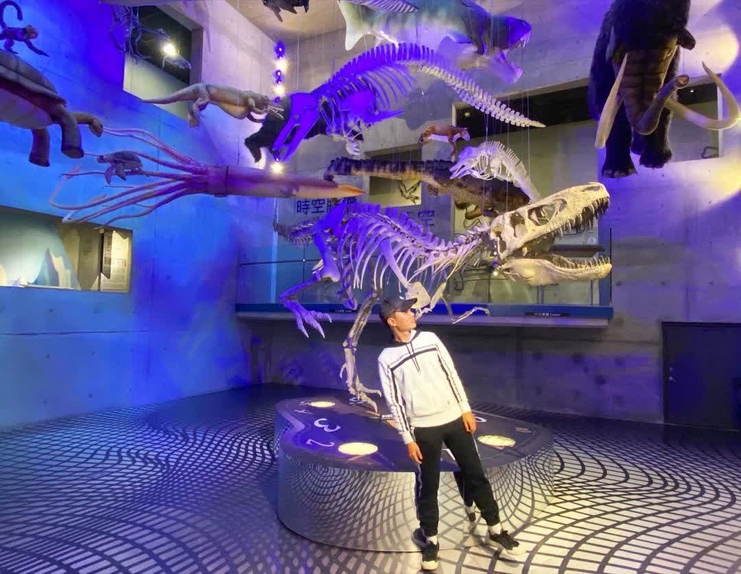 臺南左鎮化石園區(16:00截止售票、17:00閉館) | 去趣 chicTrip