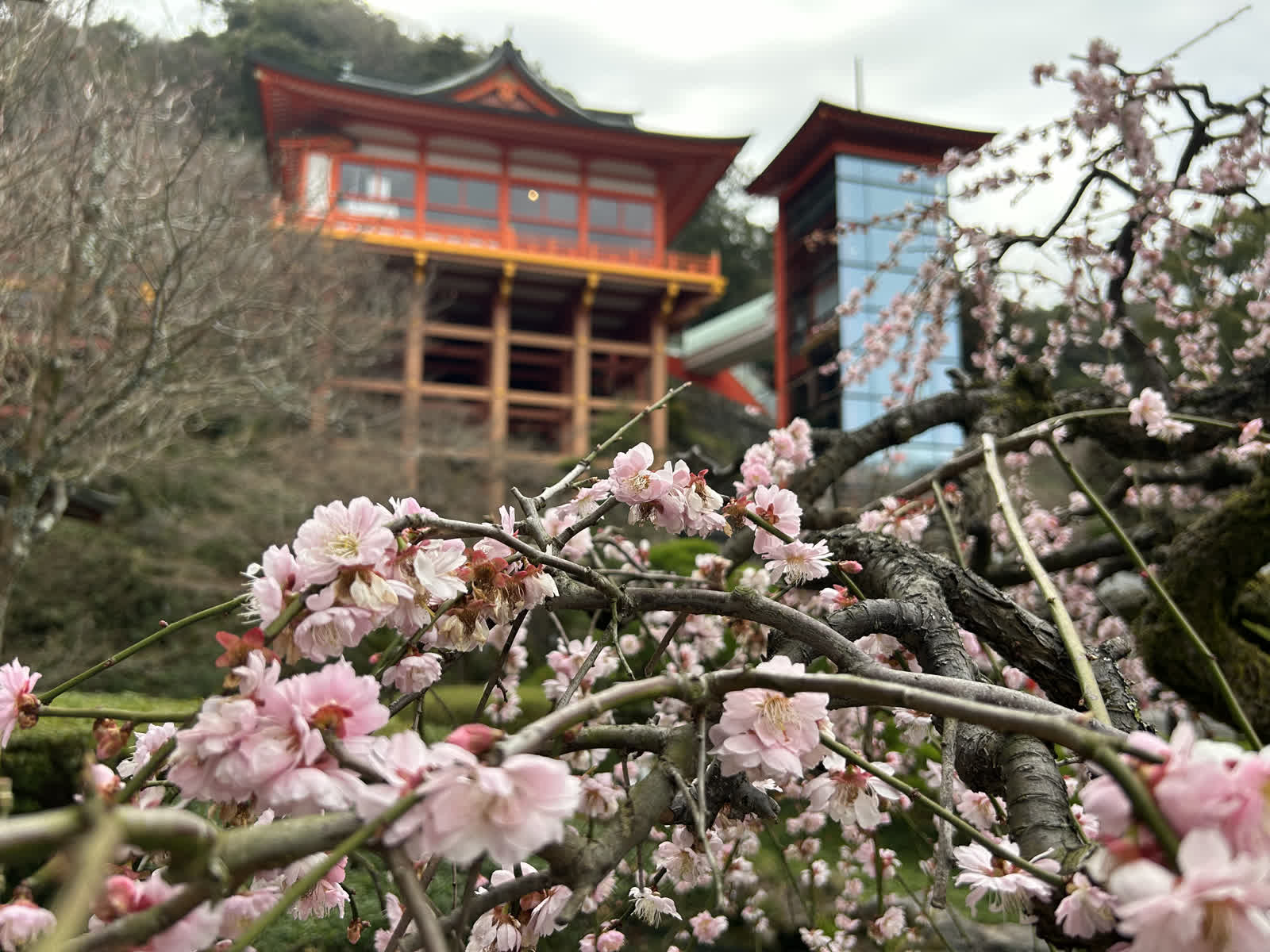 祐德稻荷神社 | 去趣 chicTrip