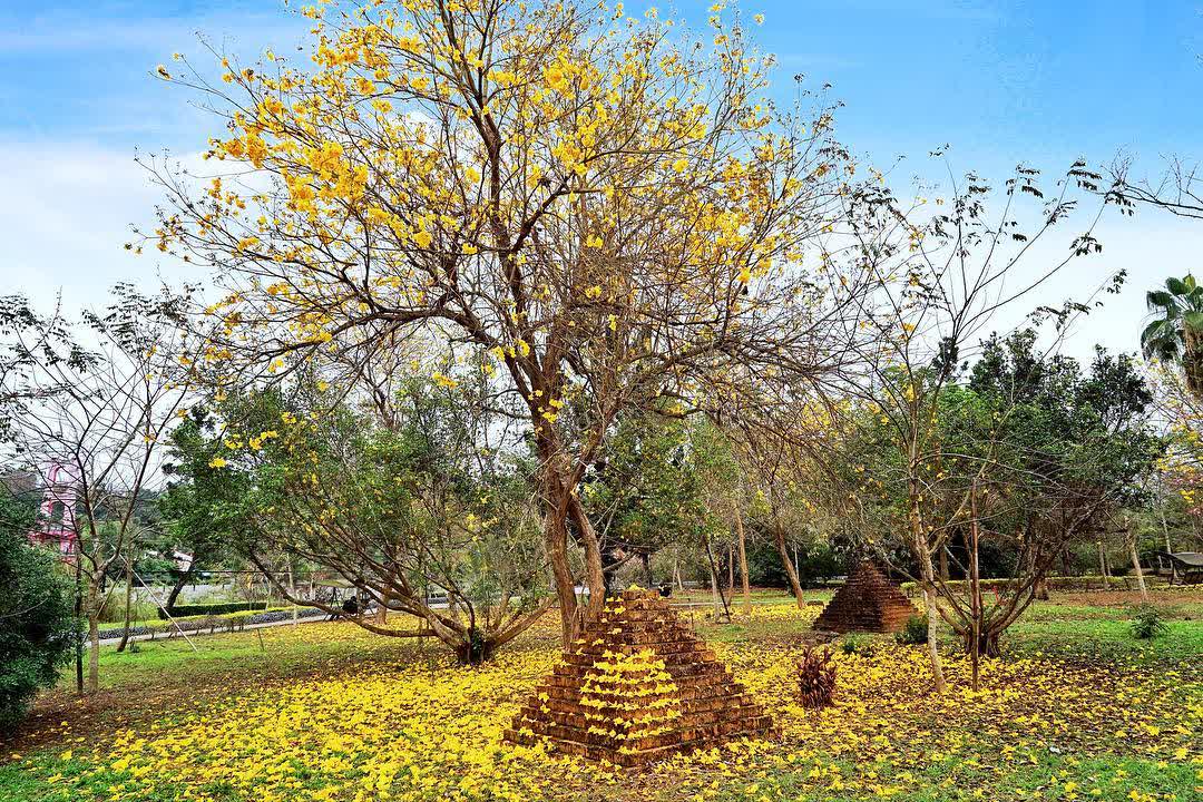 竹崎親水公園 | 去趣 chicTrip