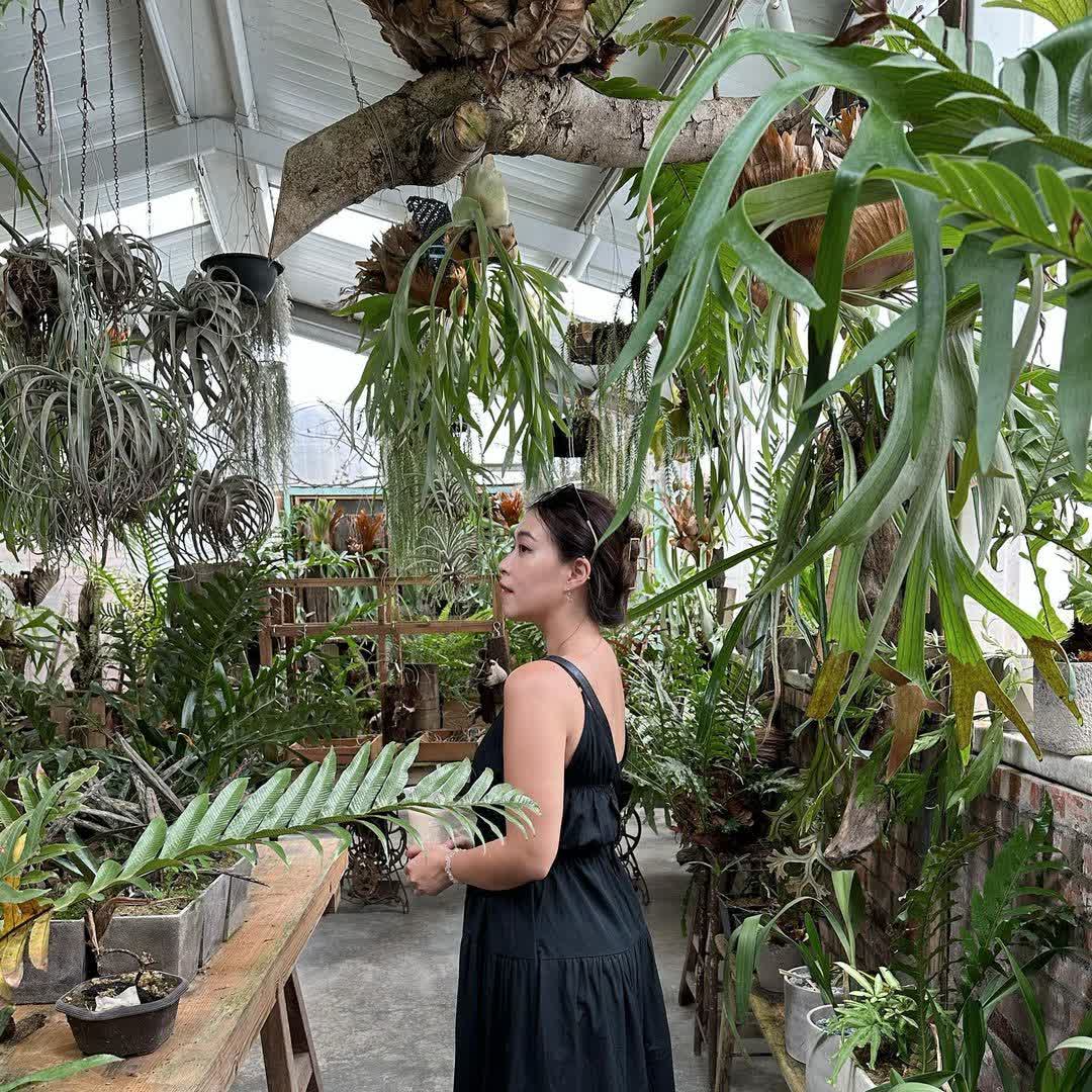 竹山紫南宮 | 去趣 chicTrip